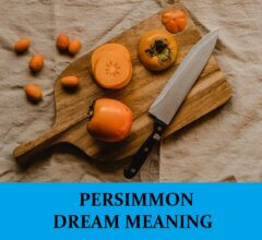 Dream About Persimmons