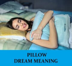 Dream About Pillows