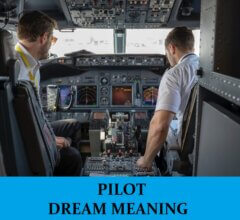 Dream About Pilots