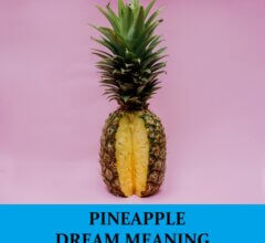 Dream About Pineapples