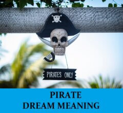 Dream About Pirates