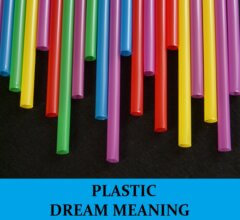 Dream About Plastic