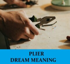 Dream About Pliers