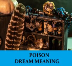Dream About Poisons
