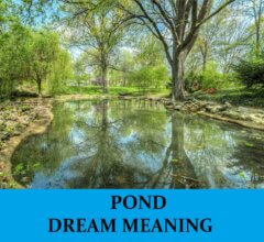 Dream About Pond