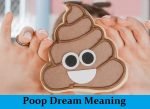 Dream About Poop Meanings