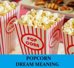 Dream About Popcorns