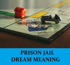 Dream About Prisons