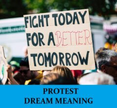 Dream About Protests