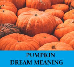 Dream About Pumpkins