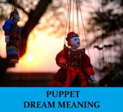 Dream About Puppets