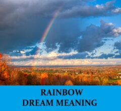 Dream About Rainbows