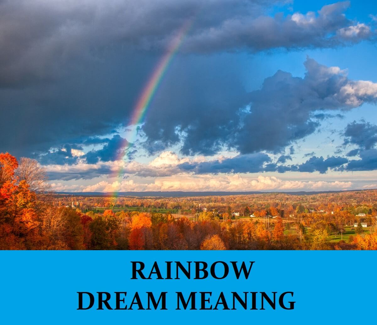 虹についての夢