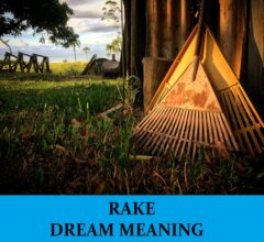 Dream About Rakes