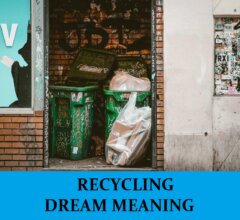 Dream About Recycling