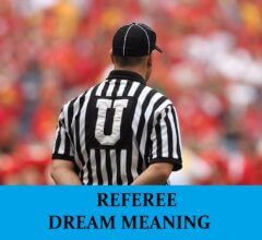 Dream About Referees
