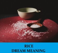 Dream About Rice