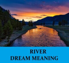 Dream About Rivers