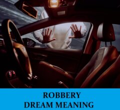 Dream About Robberies
