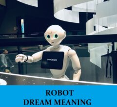Dream About Robots