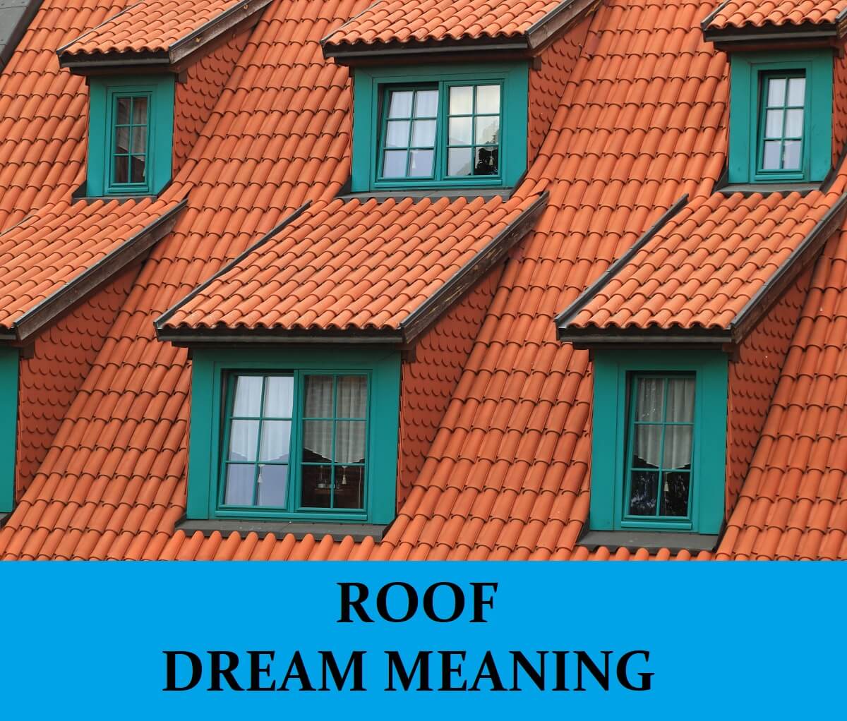 Dream About Roofing