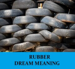 Dream About Rubbers