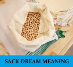 Dream About Sack
