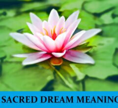 Dream About Sacred