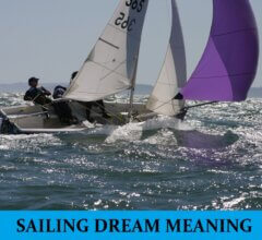 Dream About Sailing