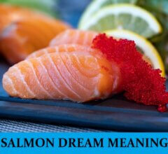 Dream About Salmons