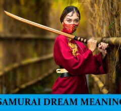 Dream About Samurais