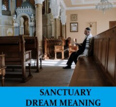 Dream About Sanctuary