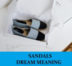Dream About Sandals