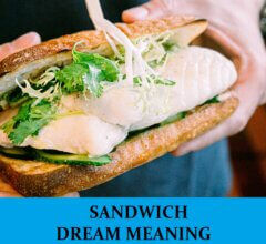Dream About Sandwich