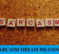 Dream About Sarcasm