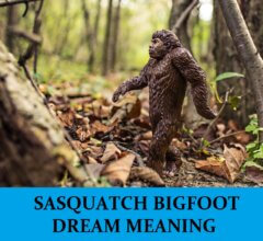 Dream About Sasquatch Bigfoot