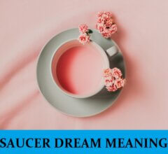 Dream About Saucer