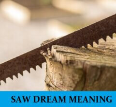 Dream About Saws