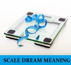 Dream About Scale