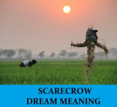 Dream About Scarecrows