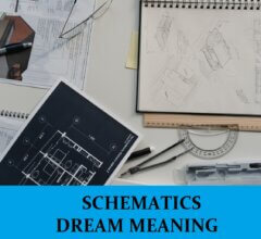 Dream About Schematics
