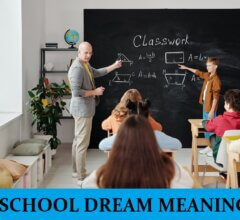 Dream About Schools