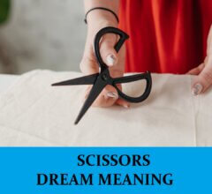 Dream About Scissors