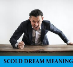Dream About Scod
