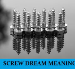 Dream About Screws