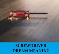 Dream About Screwdriver