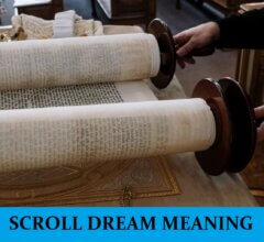 Dream About Scrolls