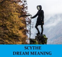 Dream About Scythe