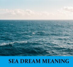 Dream About Sea