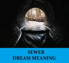 Dream About Sewers